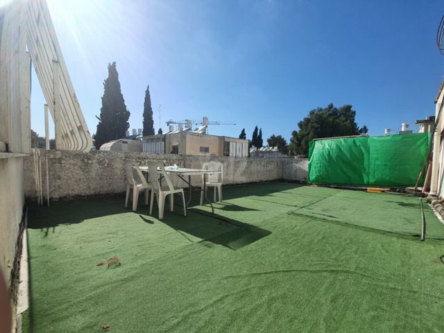 יהושע חנקין 