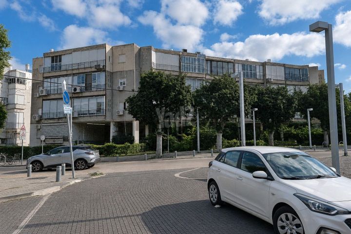 יהושע חנקין 