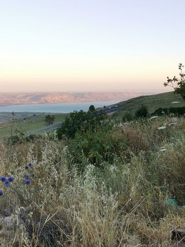 נוף הבשן 60