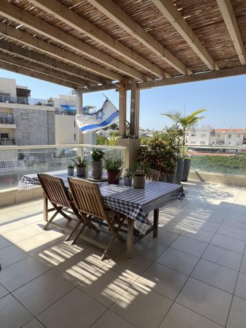 חרצית 1