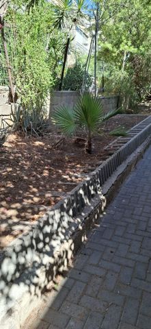 מעוז 7
