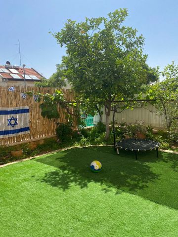 דן פגיס 11