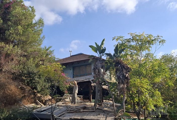 הארז 33