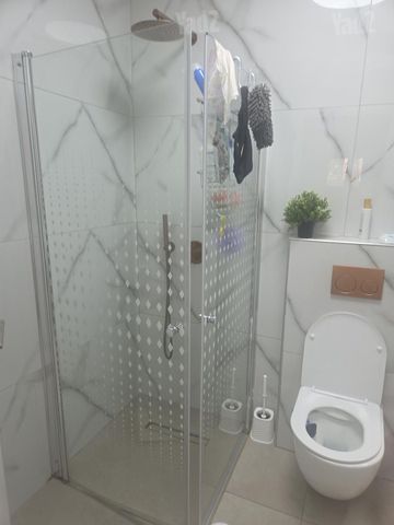 דוד פרישמן 8