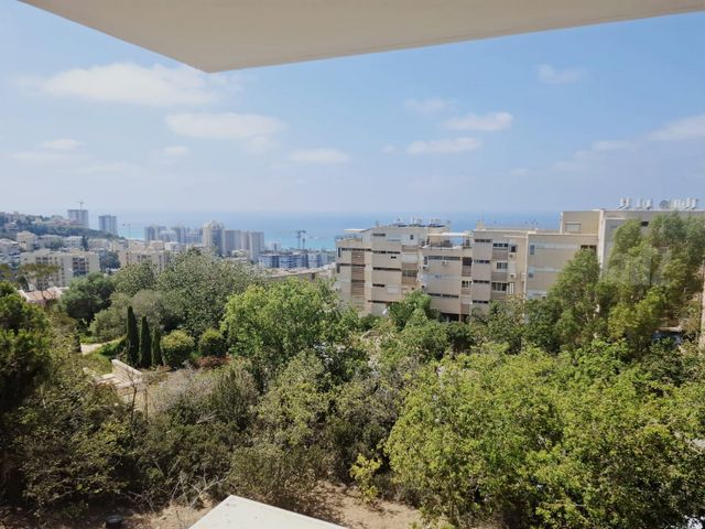 קאודרס 17