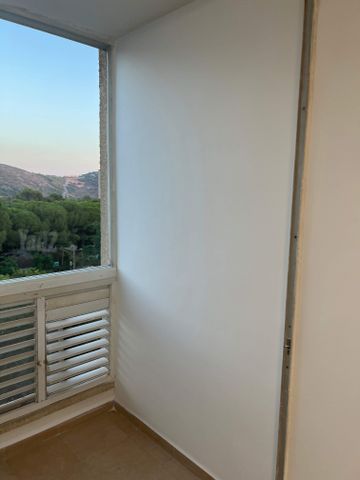 אילנות 12