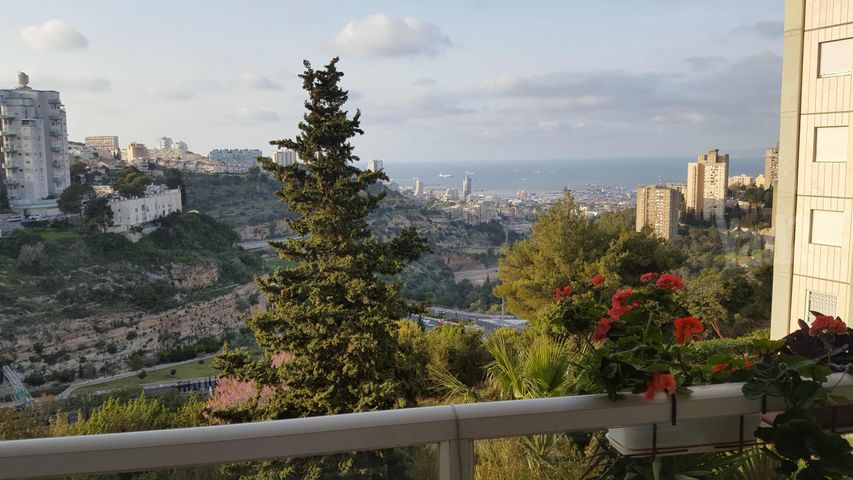 משה גוט לוין 30