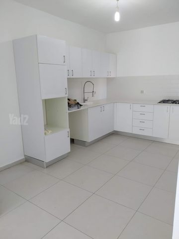 הרב דב הכהן קוק 53
