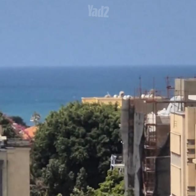 לילינבלום 46
