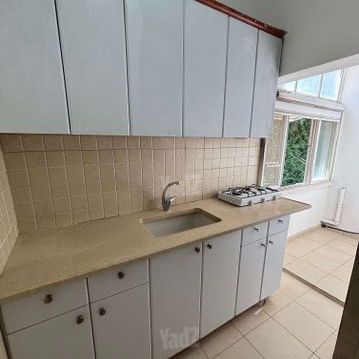יחיאל מיכל פינס 19