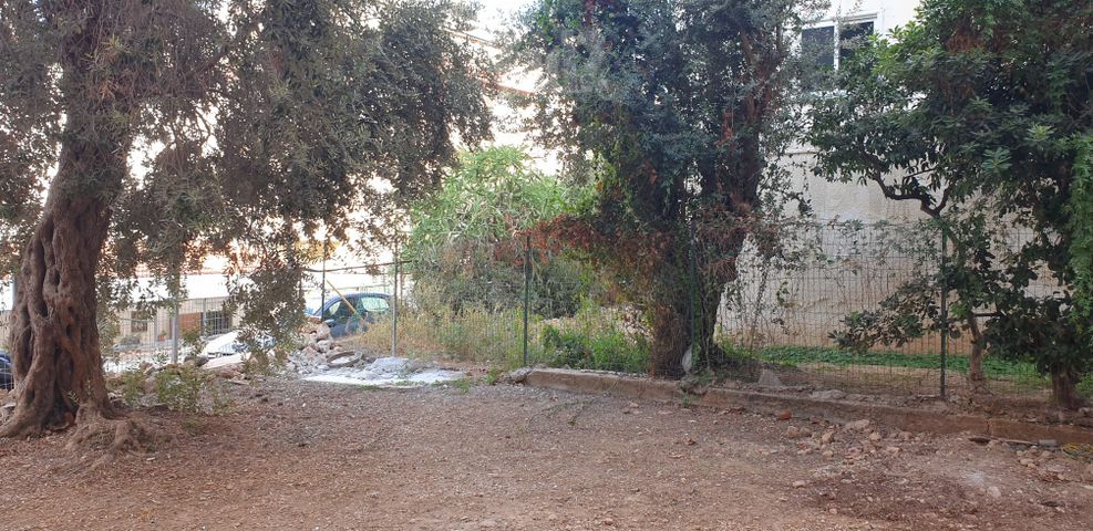 מסדה 46