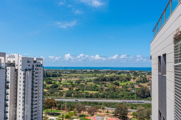 השיקמים 6