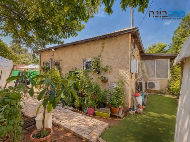 בורוכוב 