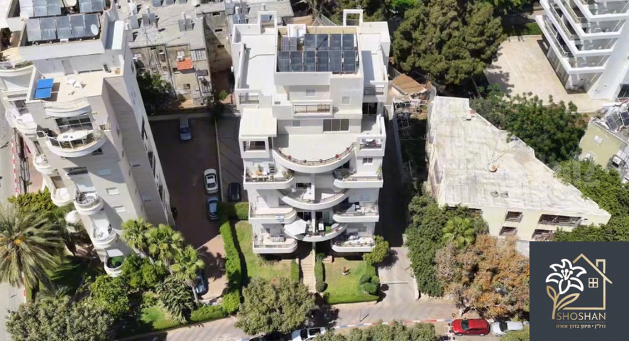 דוד רמז 5