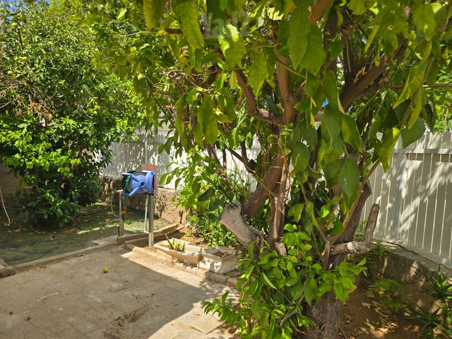 Tel Aviv-Yafo, Israel 11