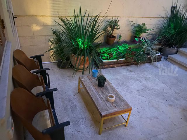 פינס 