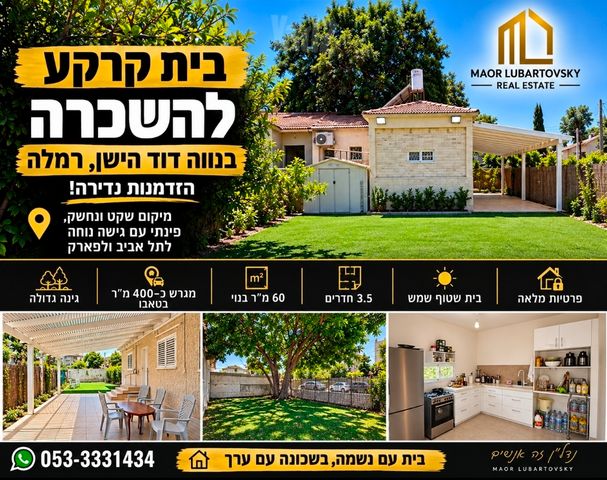 נווה דוד
