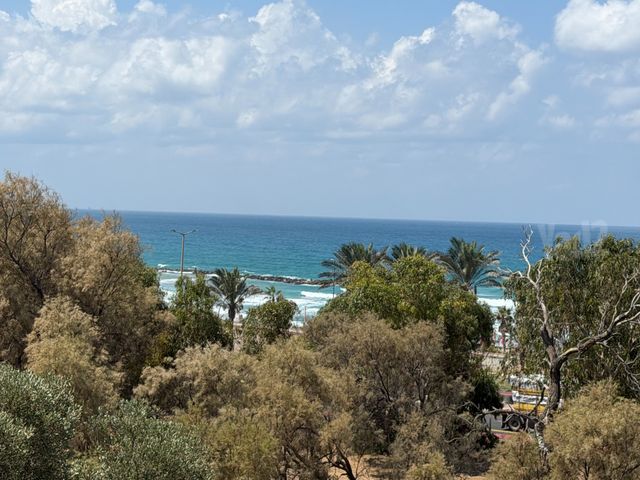 המלך אסא 