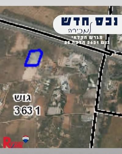 התזמורת 2