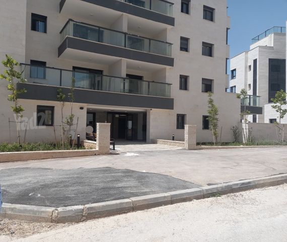 רותם 17
