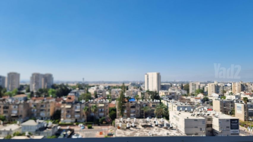 הכלנית 3