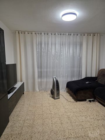 הרקפת 5