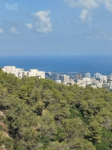 מנדל זינגר 