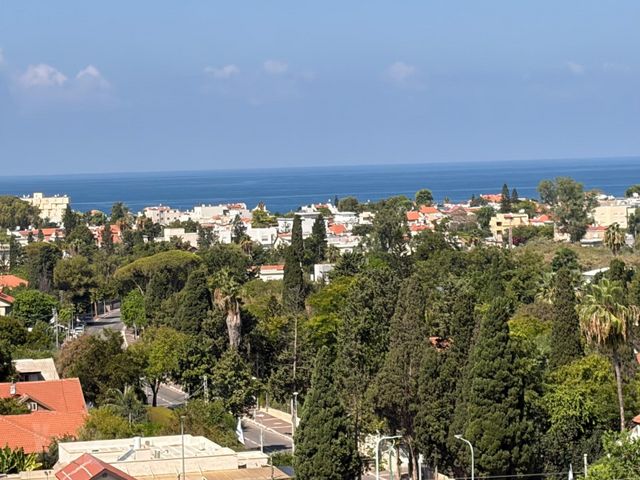 דולב 