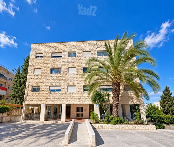 דוד שמעוני 