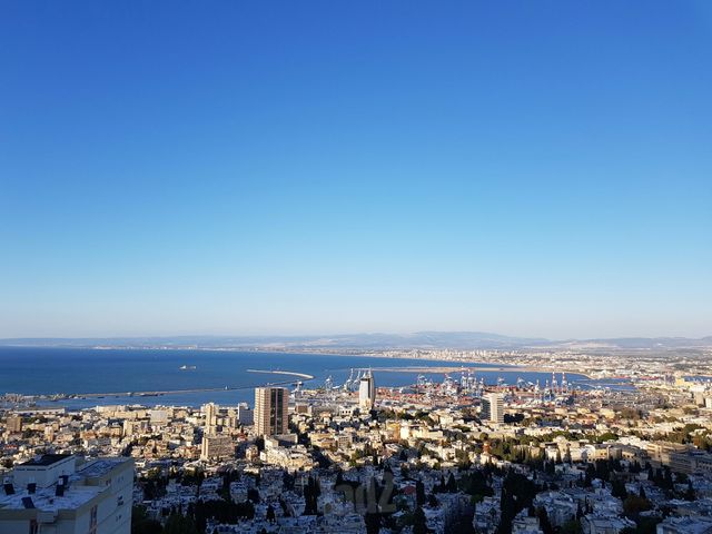 ברכה חבס 