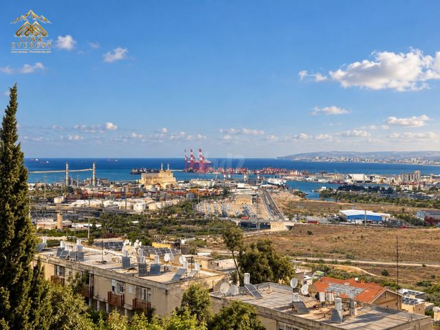 ערד 