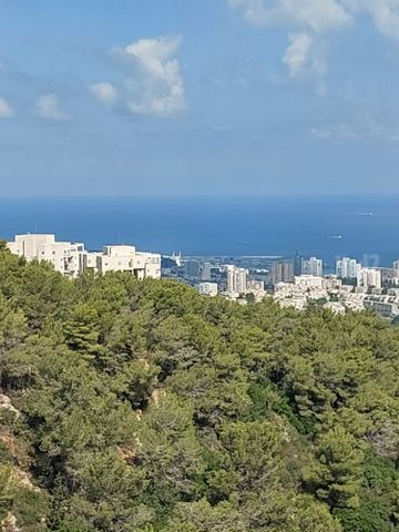 מנדל זינגר 