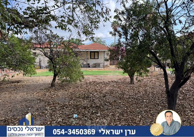 גיל עמל