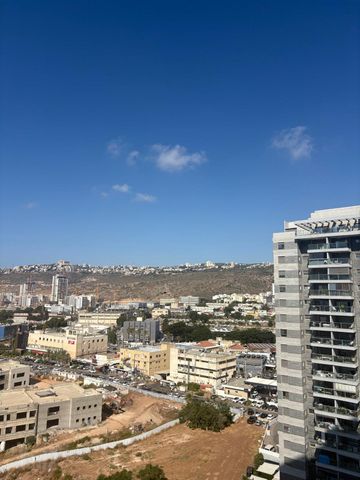 דולפין 