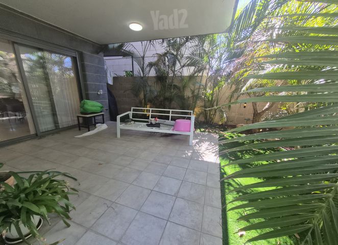 עדה 