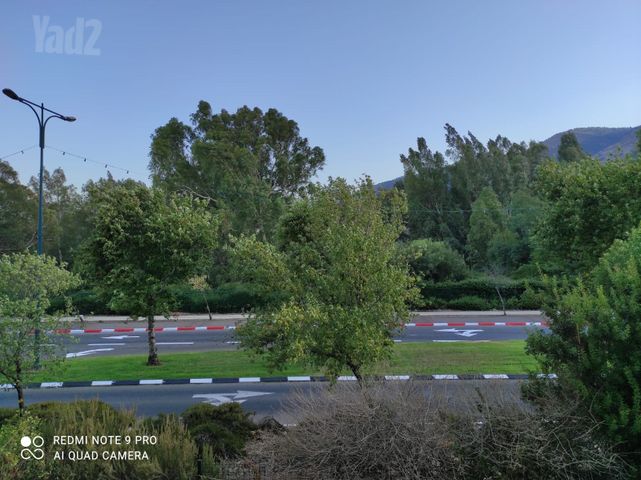 הנרייטה סולד 20