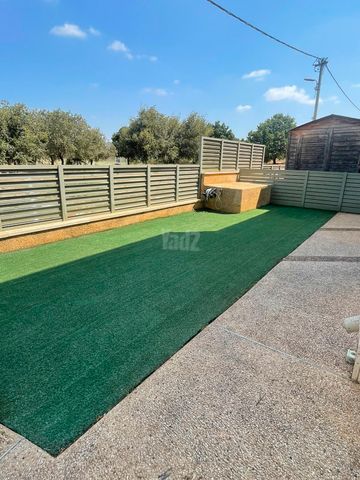 חבצלת 15