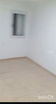 גרינבוים 14