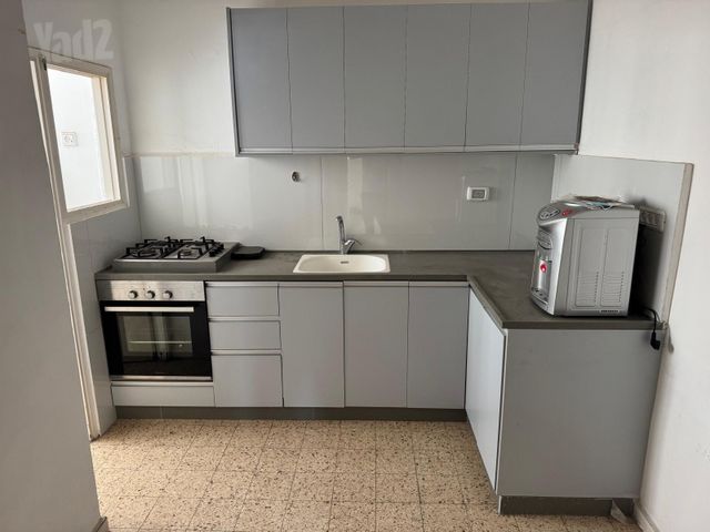 השר שפירא 30