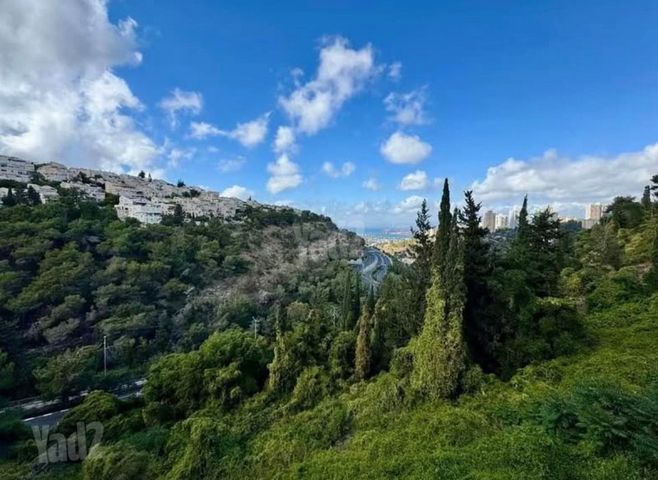 קרן היסוד 