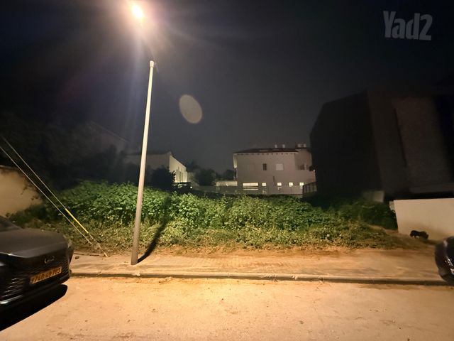 דב הוז 