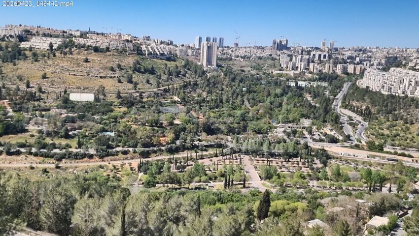 אבנר חי שאקי 