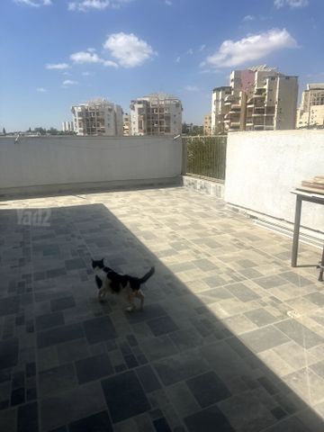 שכונה ו'