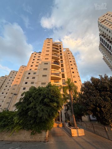 דירה, הדר המושבות החדשה / אם המושבות החדשה, פתח תקווה