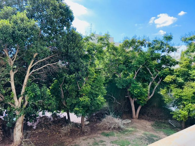 Rehovot, Israel 7
