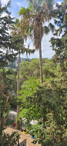 Haifa, Israel 4