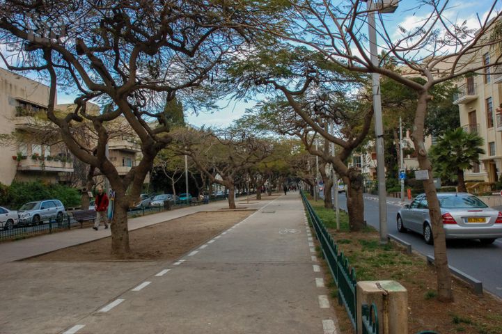 שדרות רוטשילד 