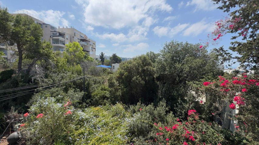 Haifa, Israel 11