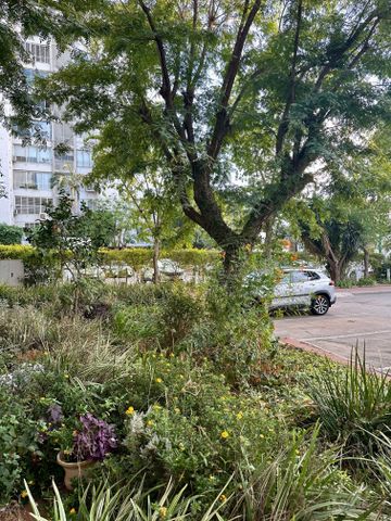 Ramat Gan, Israel 14