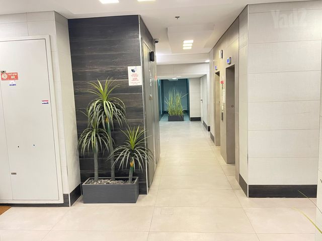 דירה, הפרחים, חריש